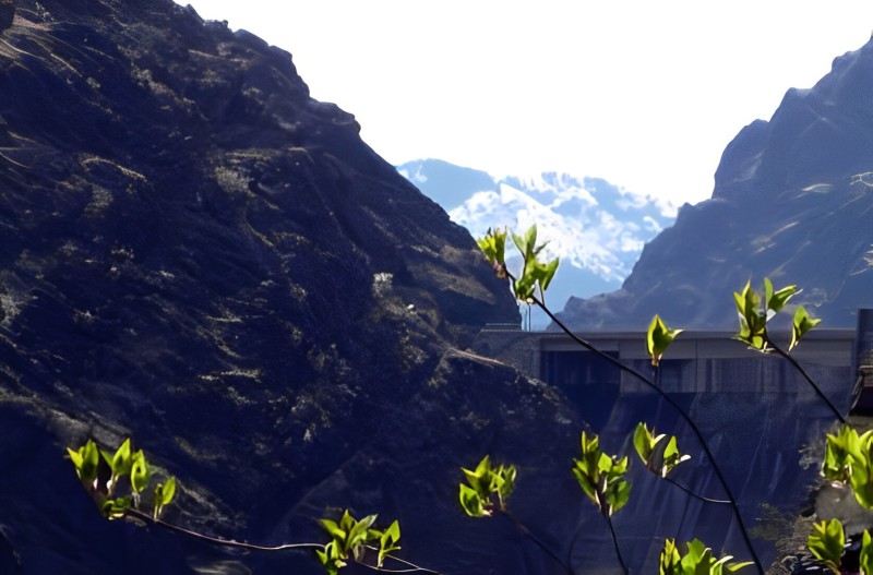 a bridge, flowers, and moutainside come together to make a stunning landscape