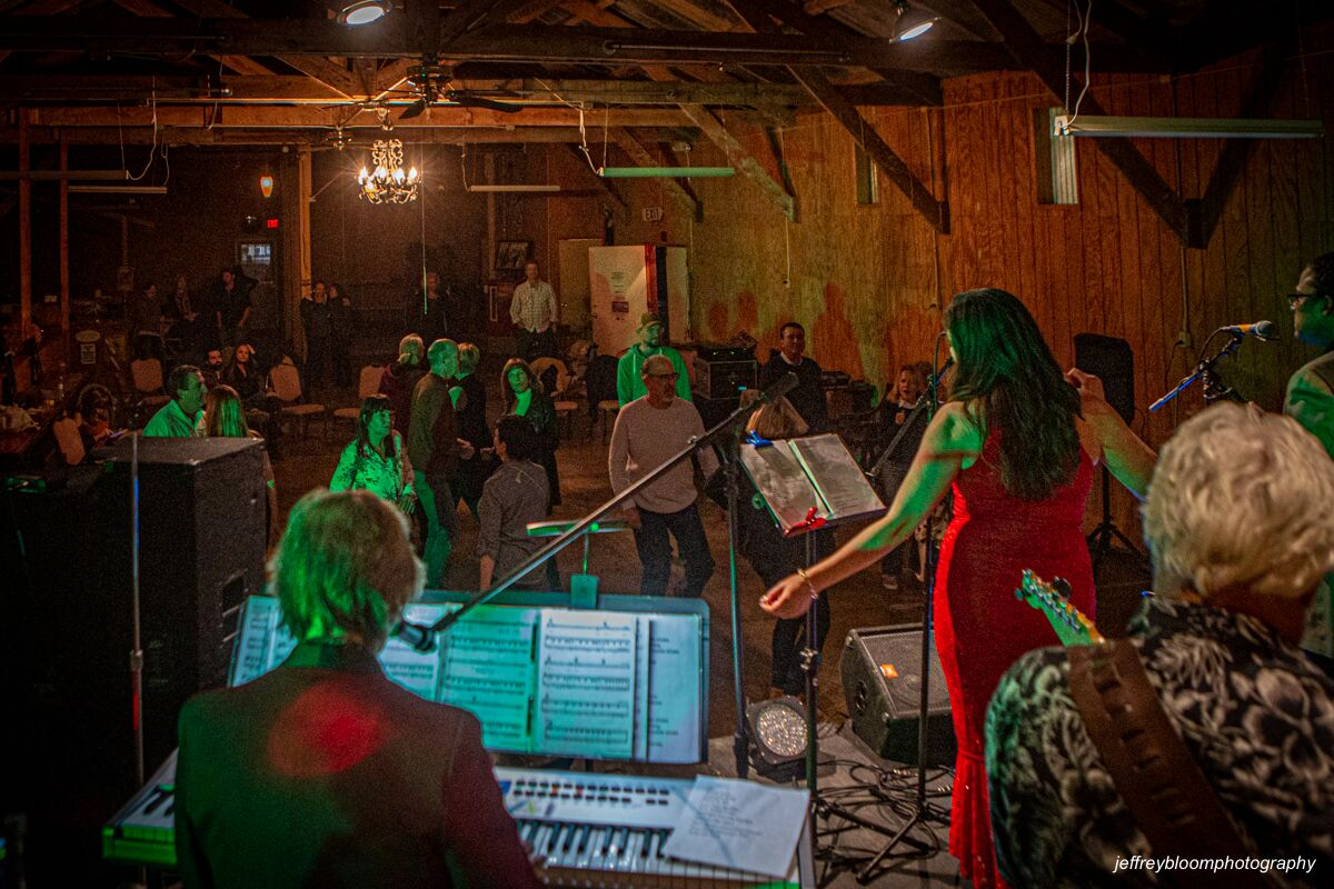 The Soul Cats Band on Stage, overlooking a crowd of listeners